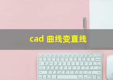 cad 曲线变直线